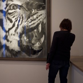 Bettina Rheims à la Maison Européenne de la Photographie