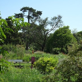 Jardin des plantes