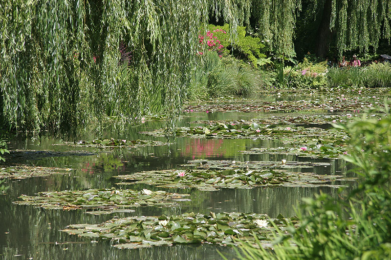 Etang à Giverny