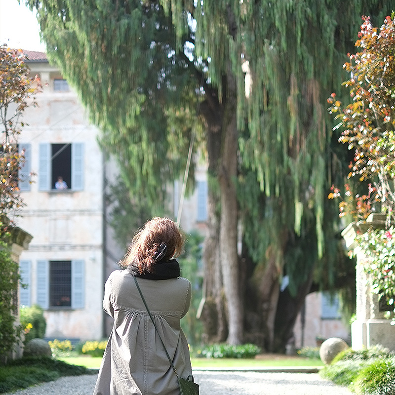 Arrivée au Palais d'Isola Madré