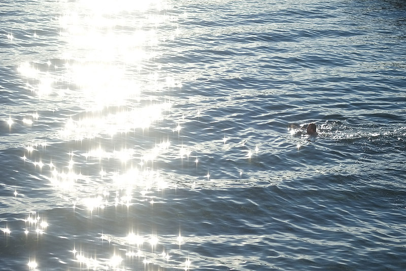 Baignade avant petit déjeuner