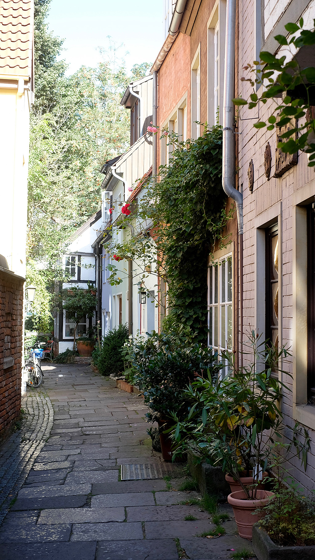 Chez Brigitt, la petite maison blanche, au bout de la ruelle