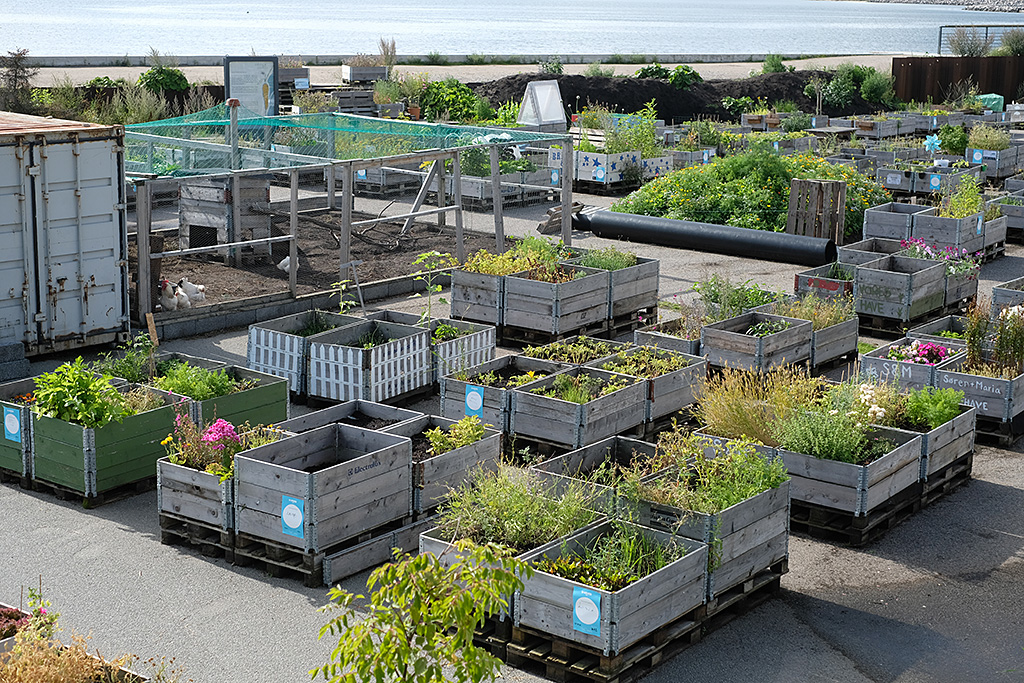 Jardins partagés accolés à la résidence - Aarthus