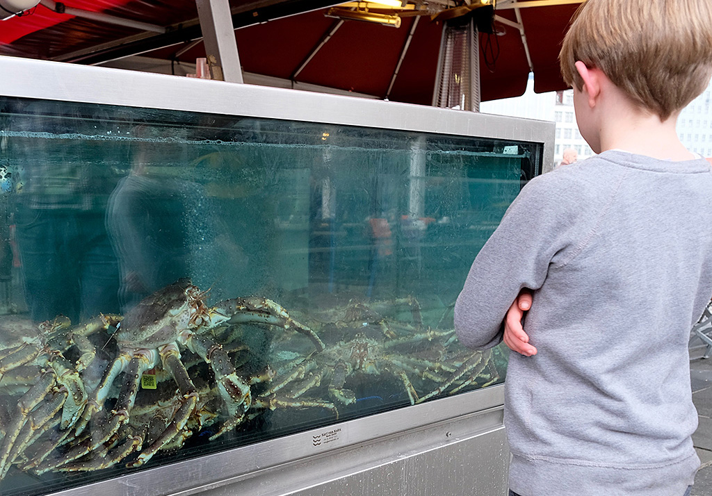 Crabes XXXL sur le marché de Bergen