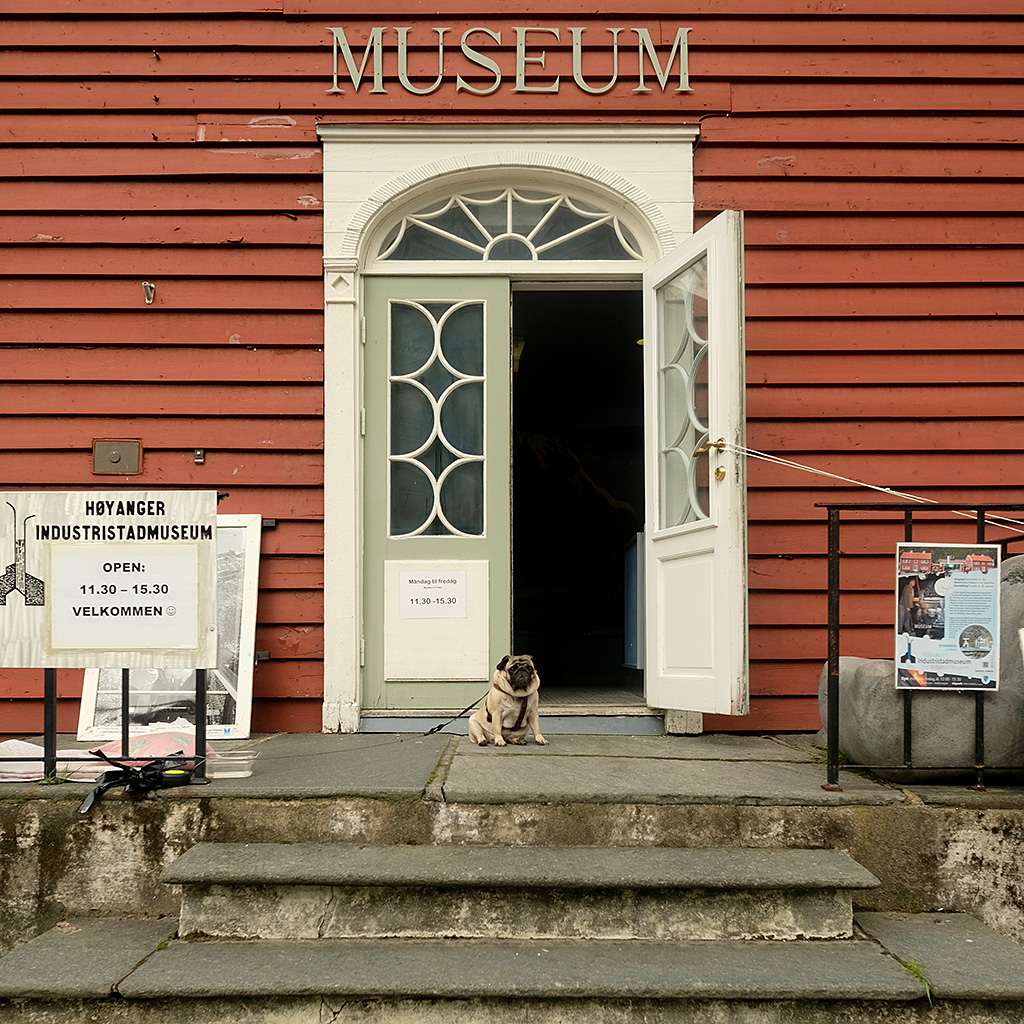 Gardien du Museum de Hoyanger (malheureusement pas eu le temps de visiter le musée)