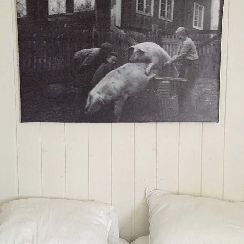 Chambre à la ferme : La propriétaire m'a indiqué que sur la très grande photo qui trône au dessus du lit, c'est sa grand mère qui donne un coup de main au cochon. Faites de beaux rèves...