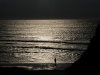 A contre jour