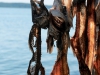La pêche de l'autre jour