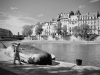 Cachalot échoué à Paris