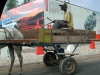 Au delà de l'immagination - Dakar - Sénégal
