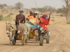 Rencontre en brousse - Sénégal
