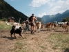 Rentrer des vaches