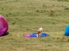 Les vaches