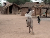 Village en brousse - Sénégal
