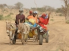 Rencontre en brousse - Sénégal