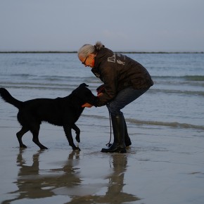 Rencontre Mer / Baltique