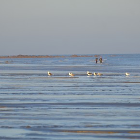 Rencontre Mer / Baltique