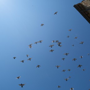 L'envolée | San Giminiano