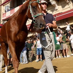 Representation | Palio Siena