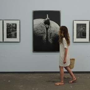 Rencontres Arles 2013