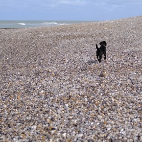 Rencontre Mer / Baltique