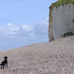 Rencontre Mer / Baltique