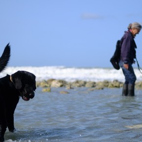 Rencontre Mer / Baltique