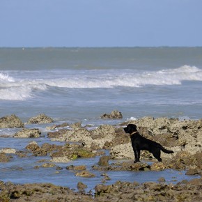 Rencontre Mer / Baltique