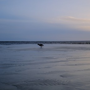 Rencontre Mer / Baltique