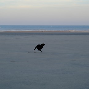 Rencontre Mer / Baltique