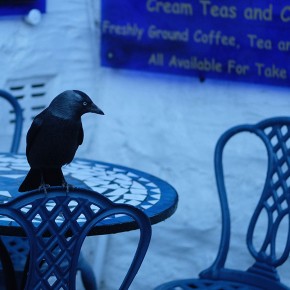 Road trip en Cornouailles