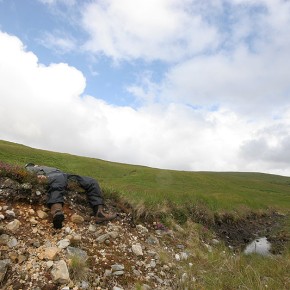 Thomas à plat - Highlands