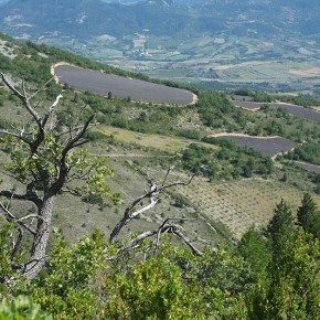 Paysage de la Drôme
