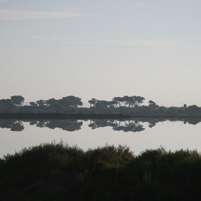 Presqu' ile de Giens