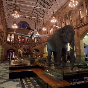 Museum de Kelvingrone - Glasgow