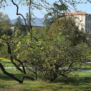 Jardins de la Villa Taranto