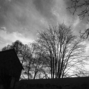Contre jour