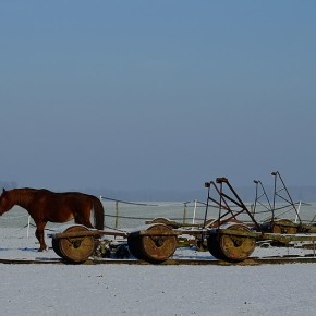 A la sortie du village - Nainville les Roches