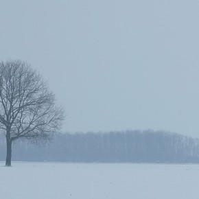 Nainville les Roches