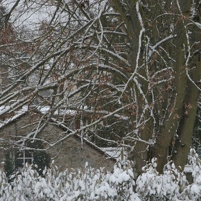 Nainville sous la neige