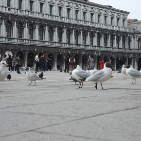 Vénitiens & touristes Place Saint Marc - Venise