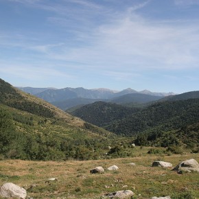 pyrenees128