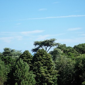 Parc et jardins du bois des Moutiers - Varengeville