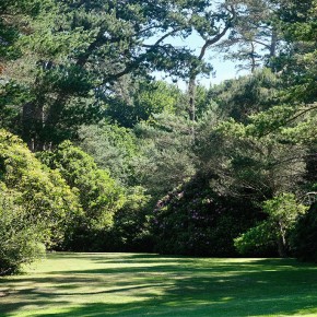 Parc et jardins du bois des Moutiers - Varengeville