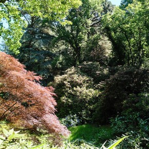 Parc et jardins du bois des Moutiers - Varengeville