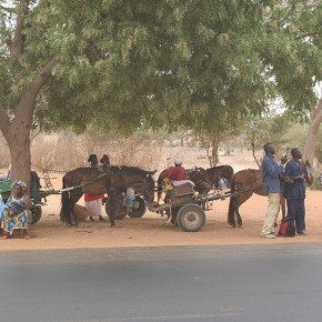 Sénégal