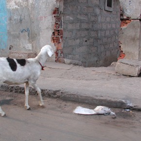 Sénégal