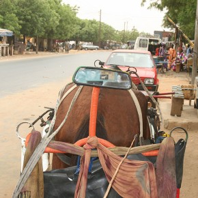 Sénégal