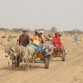 Rencontre en brousse - Sénégal