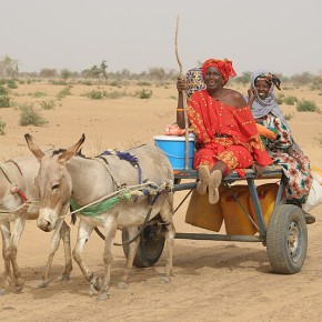 Rencontre en brousse - Sénégal